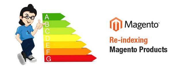 How to Re-index Magento Products