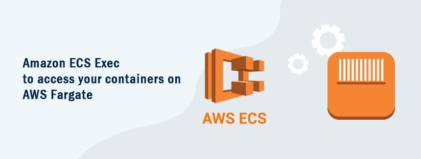 Amazon ECS Exec to access your containers on AWS Fargate Skip to end of metadata