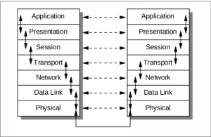 Which osi layer provides file transfer services
